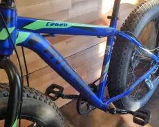 Велосипед фэтбайк Avenger C262D